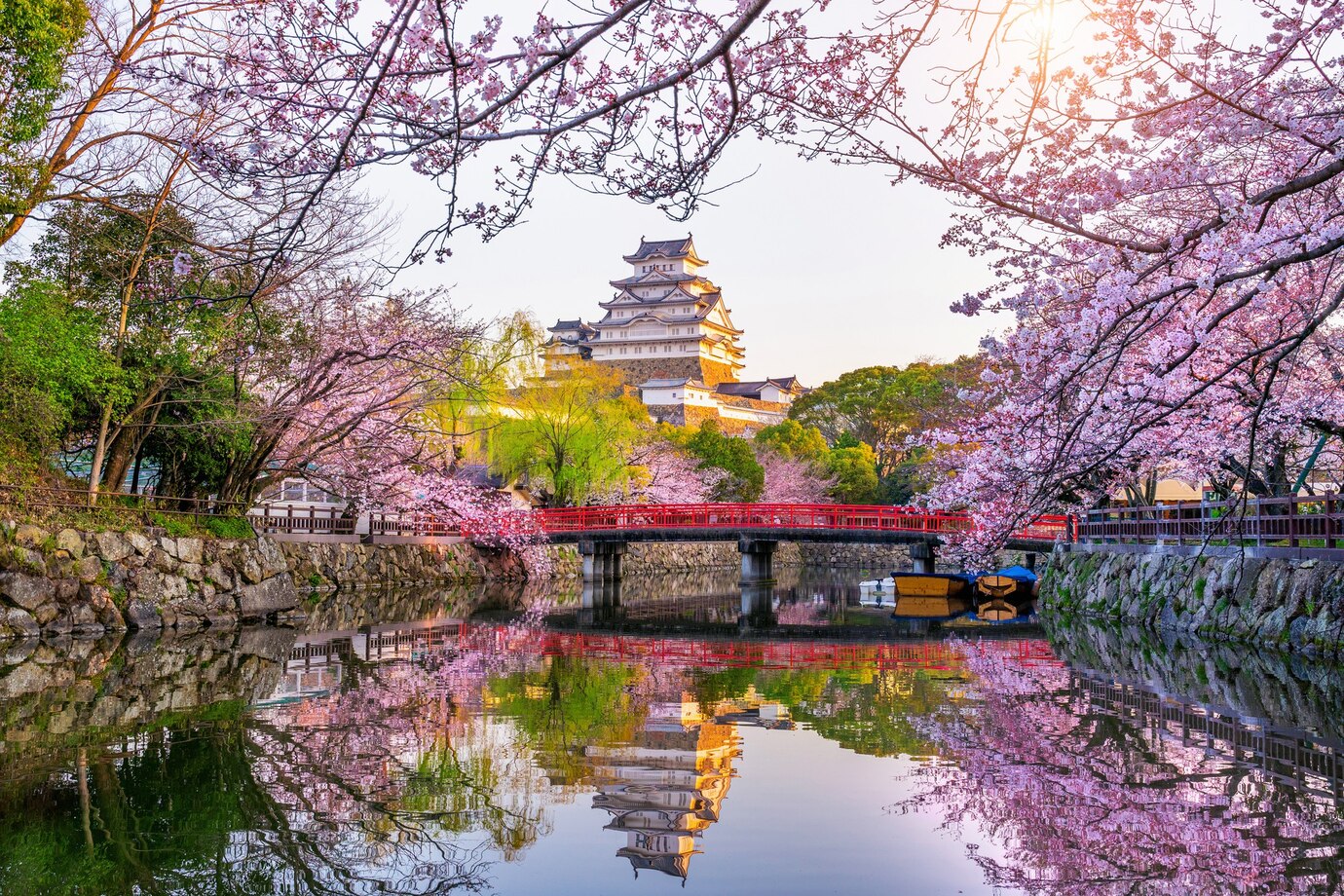 Paysage ensoleillé, japon, fleurie, nature, pont,